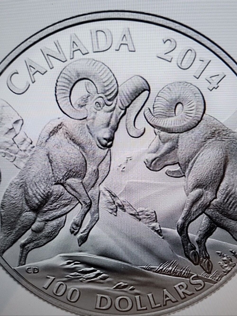 Canadian 2014 Silver Bighorn Sheep $100 Collector Coin - Silver Finish